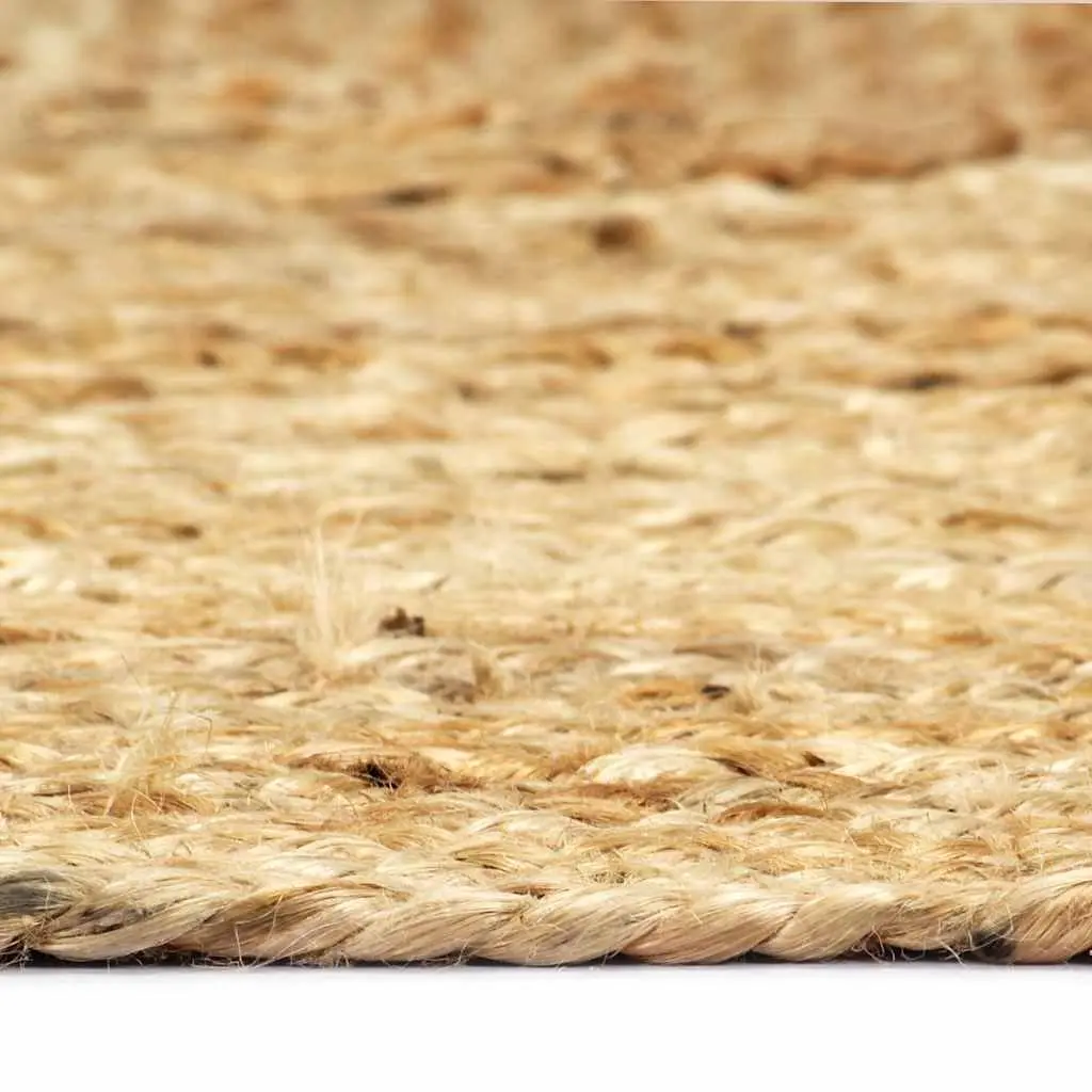 Braided Jute Area Rug
