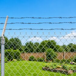 Friendly Advice: Secure Your Garden with 100m Barbed Wire