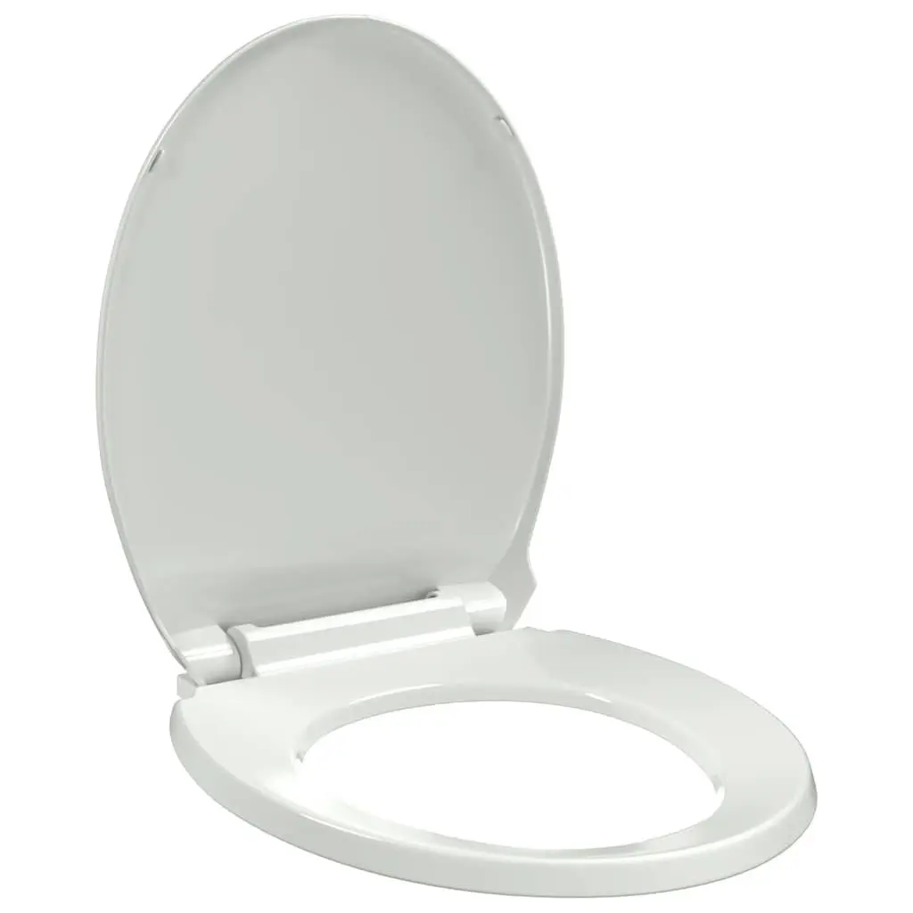 Soft-Close Toilet Seat White Oval Standard Bowl Bathroom Accessory