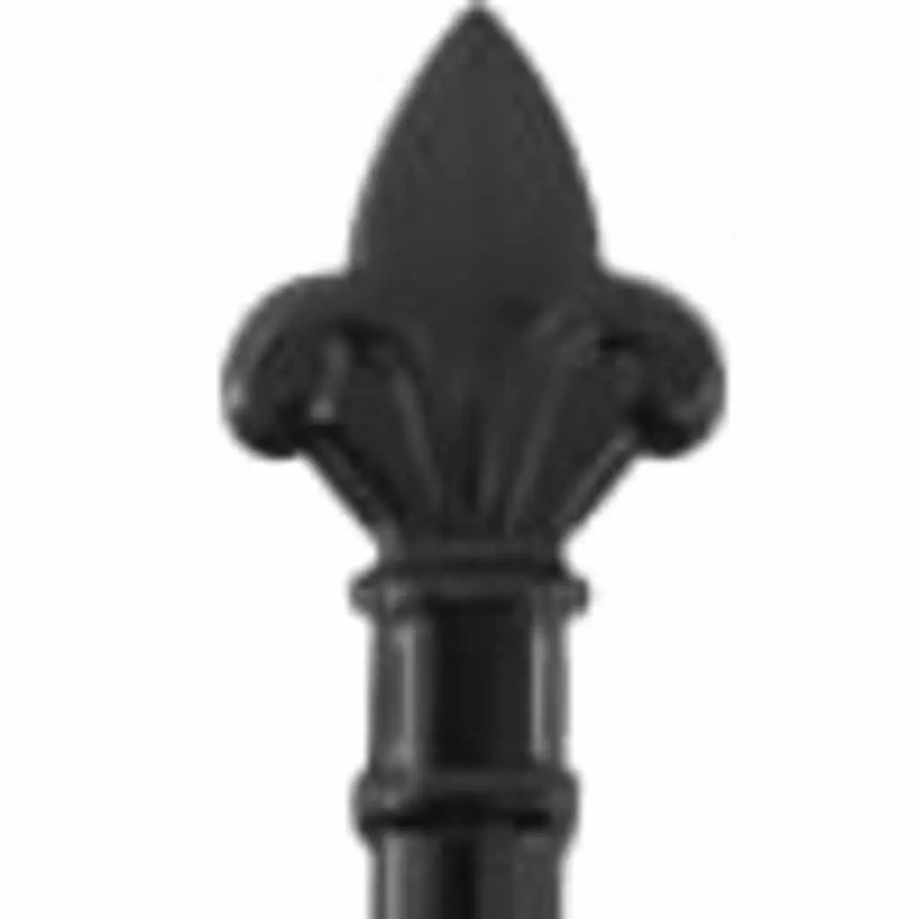 Garden Gate Double Door Fence Barrier with Spike Top Black 299.5x224.5cm