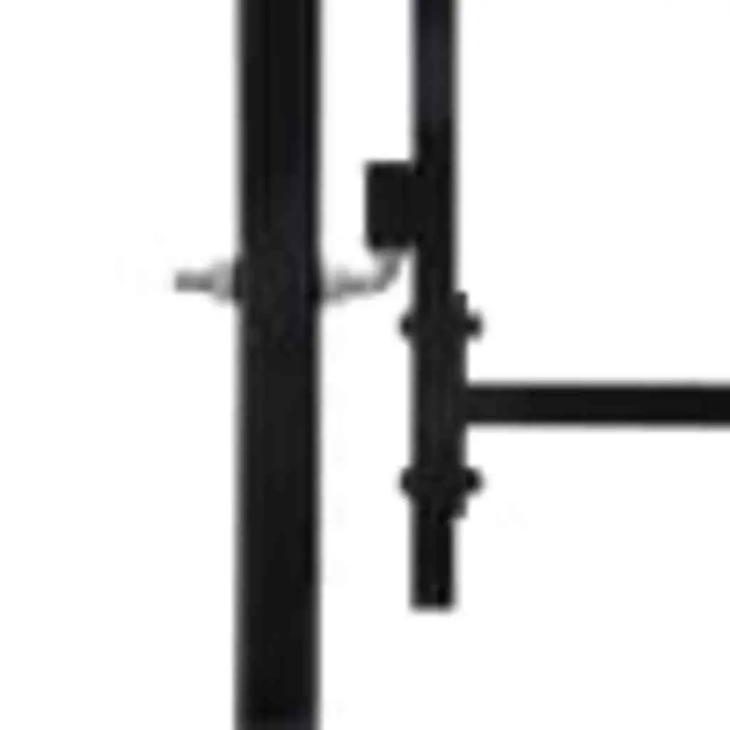 Garden Gate Double Door Fence Barrier with Spike Top Black 299.5x224.5cm
