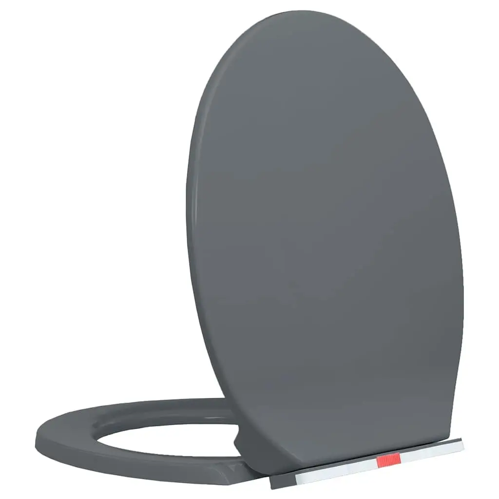 Toilet Seat Soft-Close Quick Release Grey Oval Standard Bowl