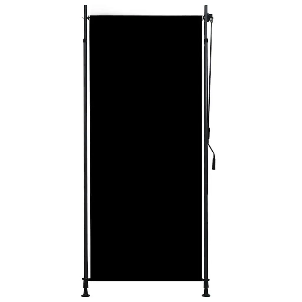 Outdoor Roller Blind 100x270cm Anthracite Hand Crank Patio Balcony Shade