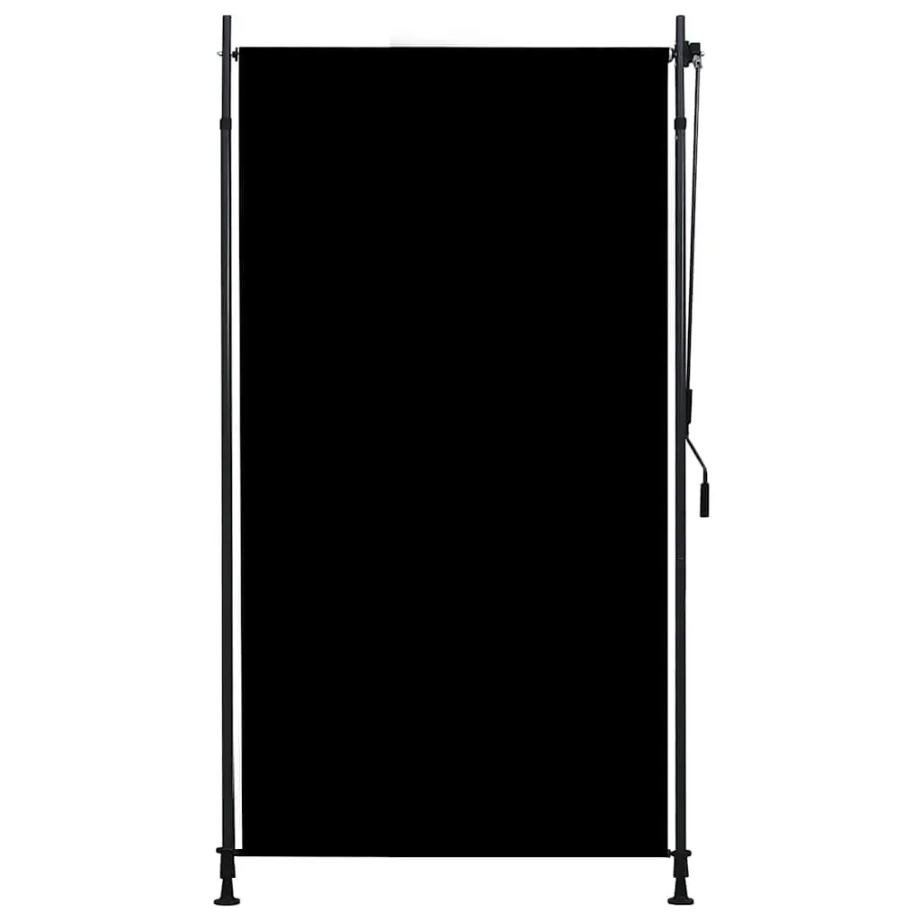 Outdoor Roller Blind Hand Crank 120x270cm Anthracite Privacy Shade