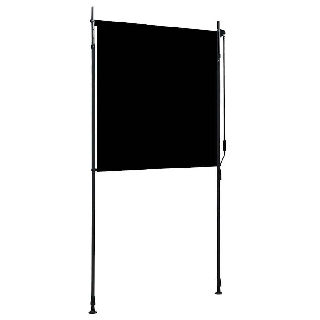 Outdoor Roller Blind Hand Crank 120x270cm Anthracite Privacy Shade