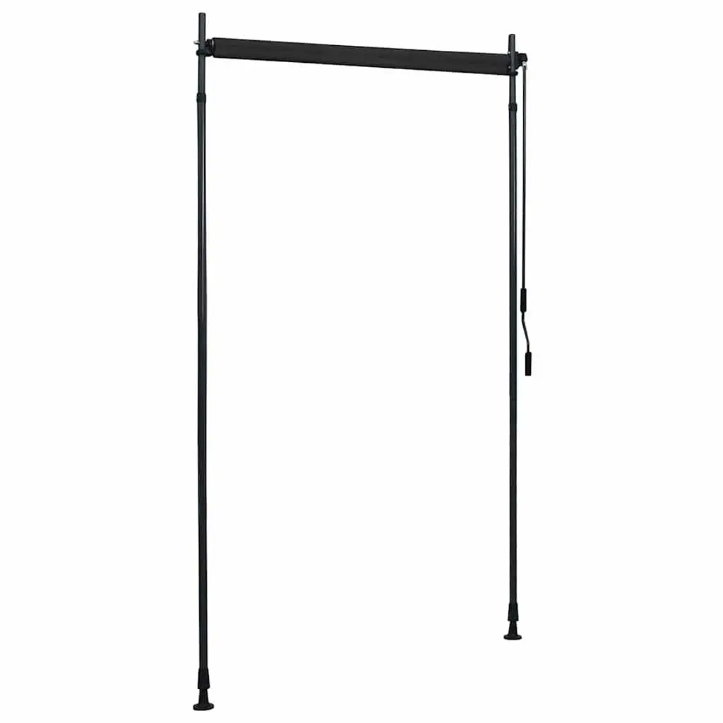 Outdoor Roller Blind Hand Crank 120x270cm Anthracite Privacy Shade