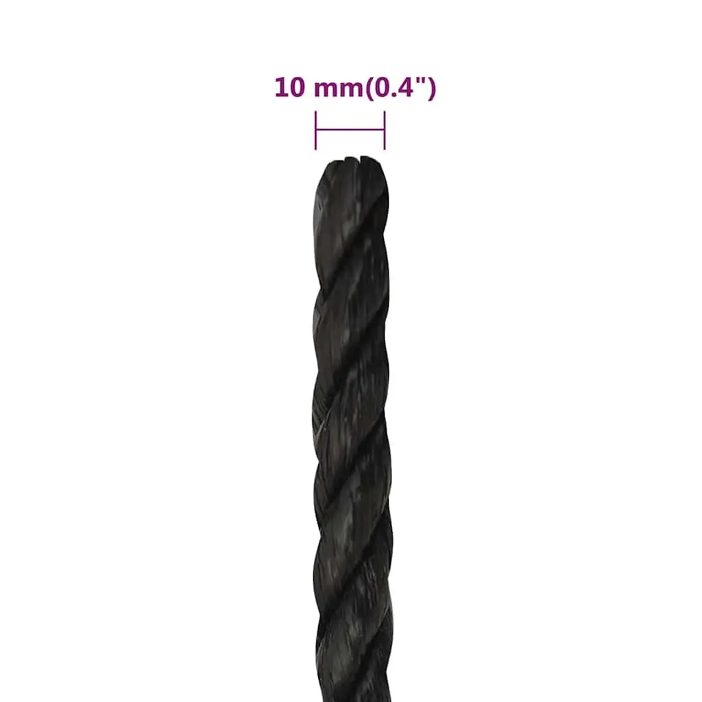 Work Rope Twisted Polypropylene Black 10mm 25m General Purpose