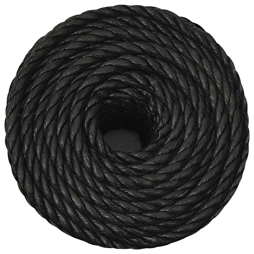 Twisted Polypropylene Rope Black 10mm 100m Durable UV Weather Resistant Garden Workshop