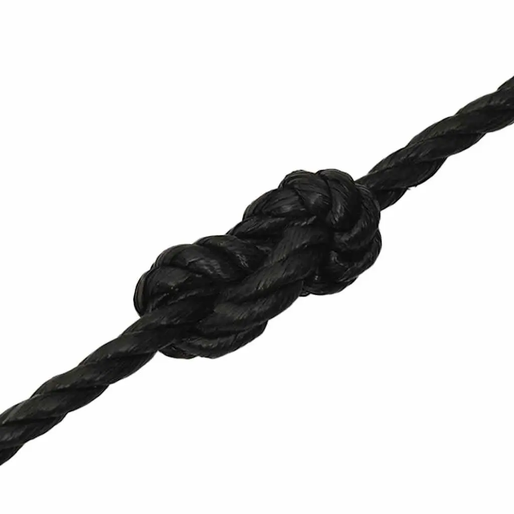 Twisted Polypropylene Rope Black 10mm 100m Durable UV Weather Resistant Garden Workshop