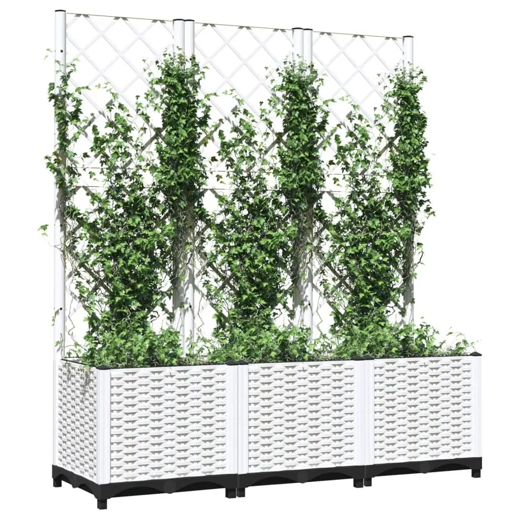 Garden Planter with Trellis