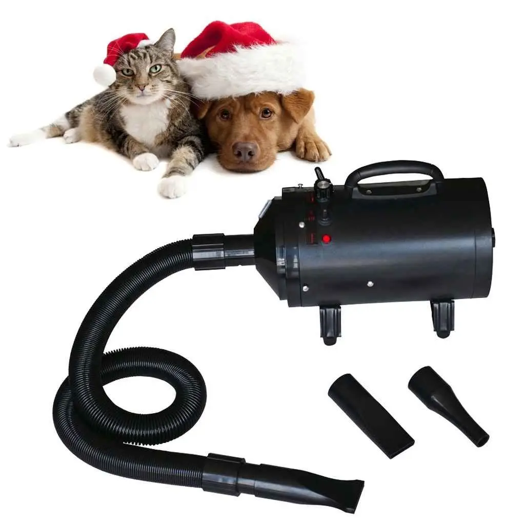 Professional Pet Hair Dryer for Grooming Needs