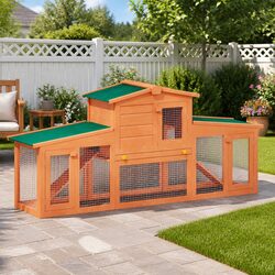 Your Ideal Two-Storey Rabbit Hutch Awaits
