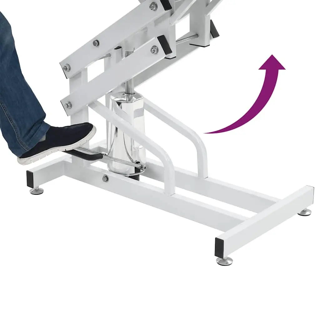 Hydraulic Pet Grooming Table Adjustable Height Non-slip Surface Portable Mobile