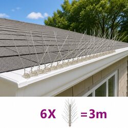 Friendly Bird & Pigeon Spikes for Your Outdoor Space