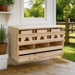 Your Chickens Will Love This 3-Compartment Nesting Box