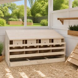 Discover the Ideal Chicken Nest Box for Your Hens
