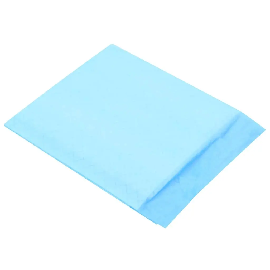Pet Training Pads 200 Pieces 45x33 cm Absorbent Puppy Toilet Training Pads