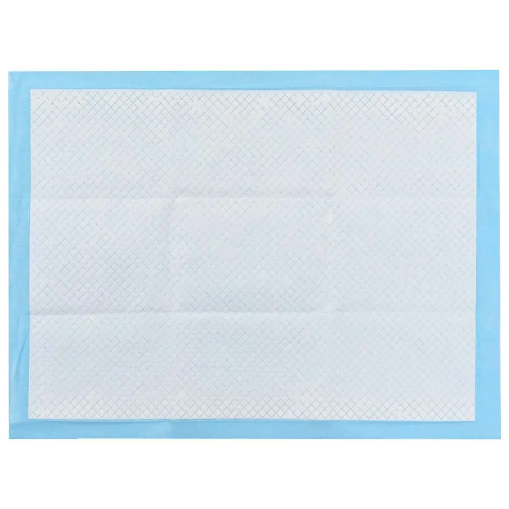 Dog Training Pads Highly Absorbent 60x45cm Non Woven Pee Toilet 100 Pack