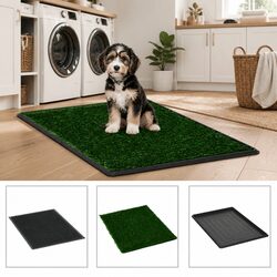Friendly Pet Training Toilet with Tray, 2 Pack