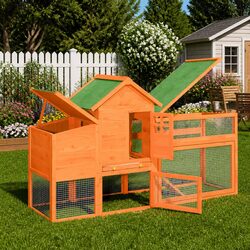 Welcoming Chicken Coop Designed for Your Small Pets