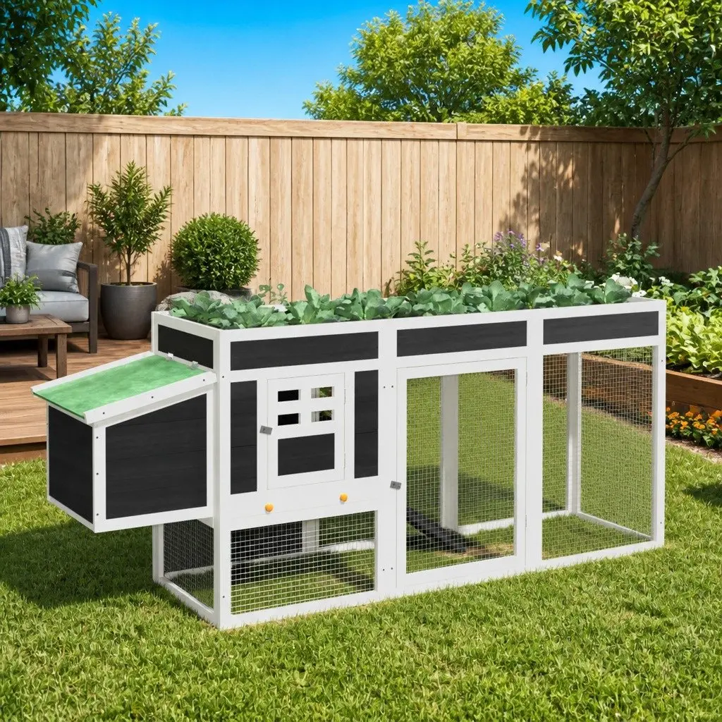 Chicken Coop with Nesting Box for Small Pets