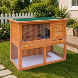 Your Pet’s Perfect Outdoor Rabbit Hutch
