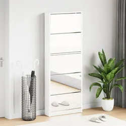 Your New Mirrored Shoe Cabinet Awaits