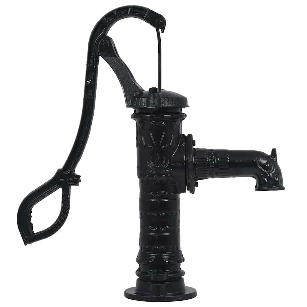 Hand Operated Garden Water Pump with Cast Iron Stand Black Well System