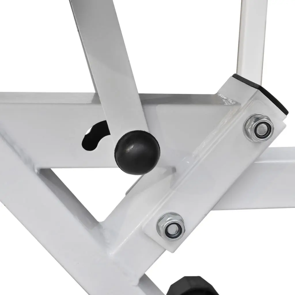 Workout Bench with Adjustable Backrest