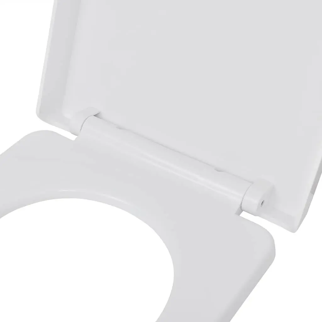 Standard Toilet Seats White Plastic Soft Close 2 Piece Set