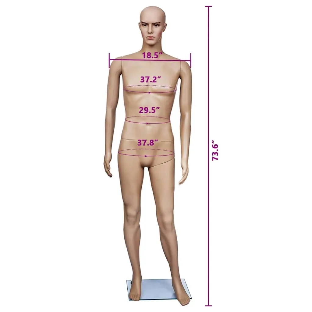 Full-Body Male Mannequin Beige Display Torso Head Arms Legs Retail Shop Window