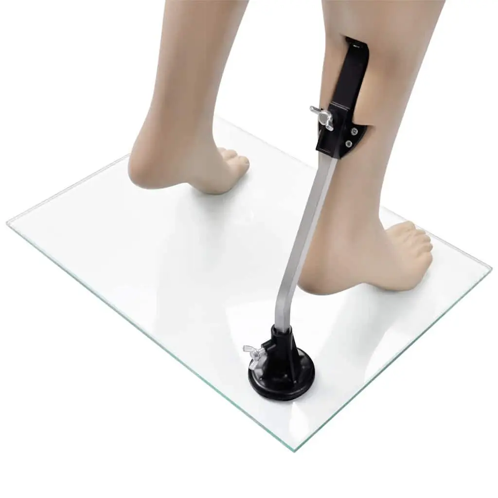 Beige Women's Full Body Mannequin Display Torso with Glass Base Stand 6 Piece