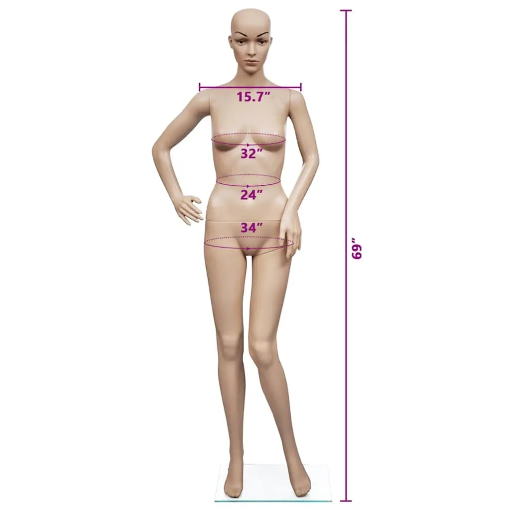 Beige Women's Full Body Mannequin Display Torso with Glass Base Stand 6 Piece