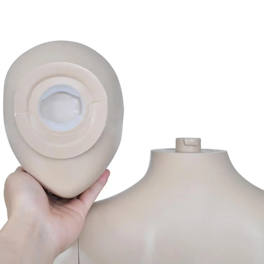 Female Display Mannequin Round Head Beige Torso with Glass Base Stand
