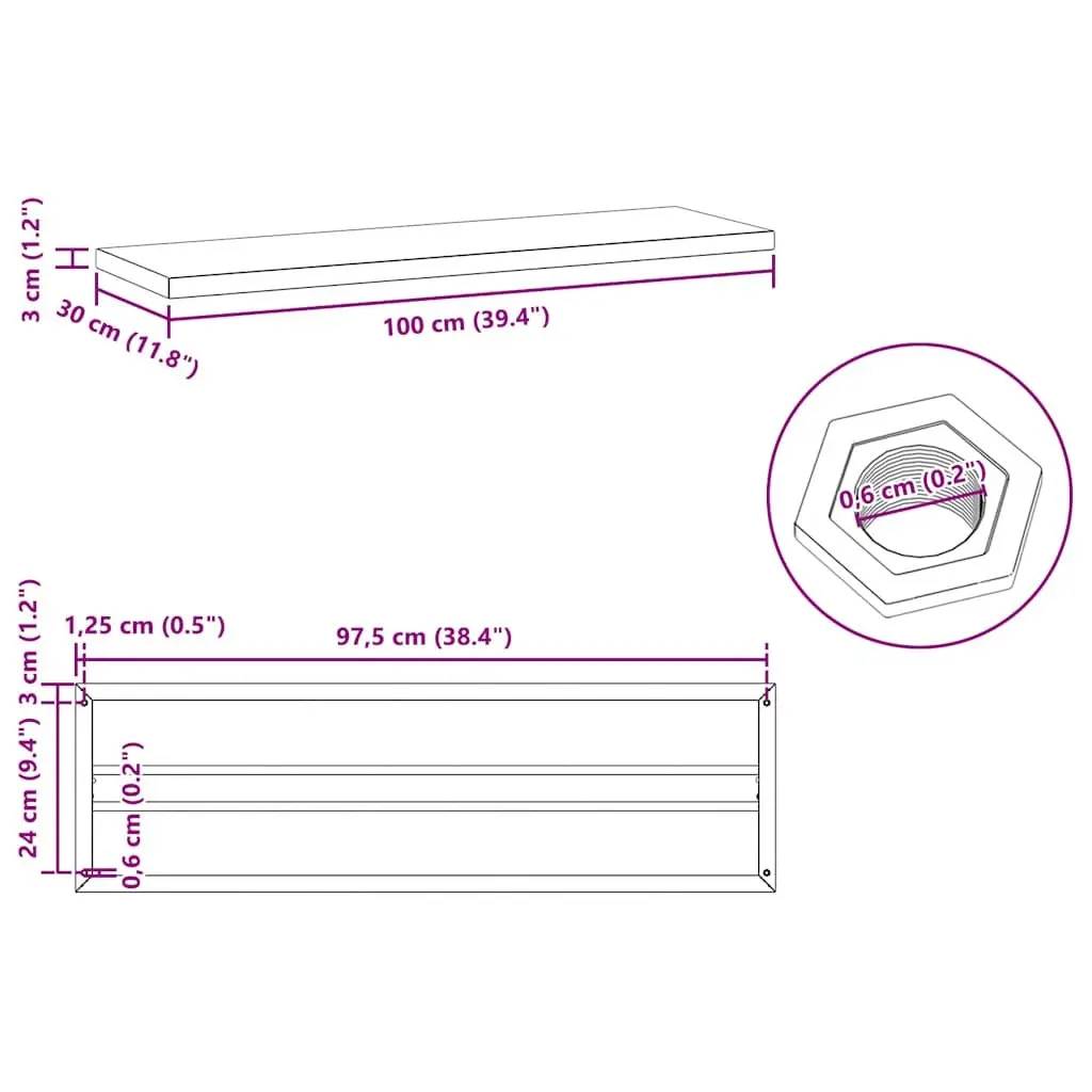 Wall Shelves Silver Stainless Steel 100x30 cm 2 Piece Floating Storage Shelving Home Decor