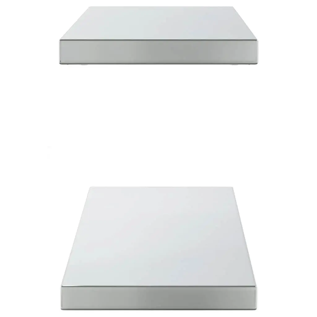 Wall Shelves Stainless Steel Floating Storage Display 100x23.5 cm 2 pcs