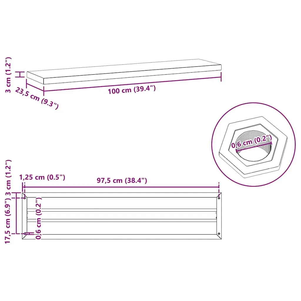 Wall Shelves Stainless Steel Floating Storage Display 100x23.5 cm 2 pcs