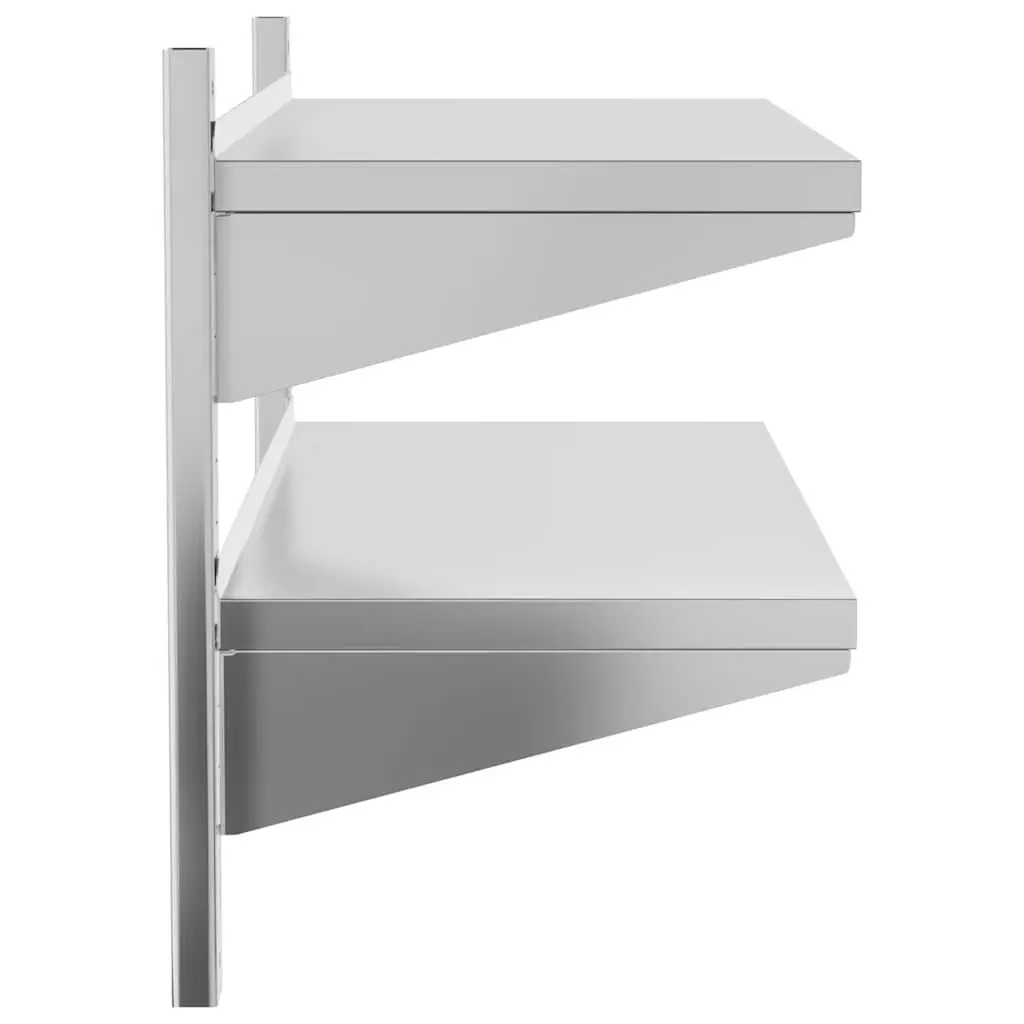 2-Tier Wall Shelf Stainless Steel 100x40x60 cm