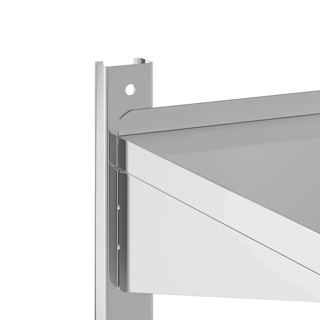 2-Tier Wall Shelf Stainless Steel 100x40x60 cm