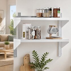 2-Tier Wall Shelf Silver Stainless Steel Floating Storage Rack Home Kitchen