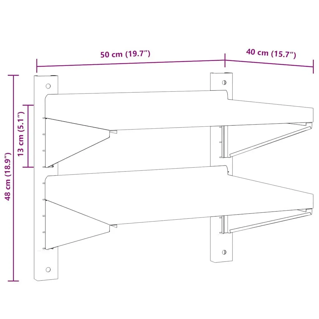 2-Tier Wall Shelf for Home Storage