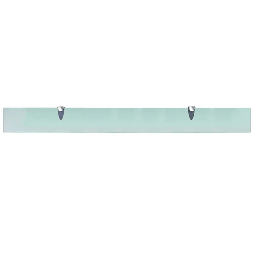 Floating Wall Shelves 2 pcs Glass 100x10 cm Tempered Glass Display Ledge