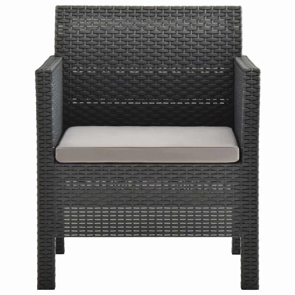 Outdoor Garden Chairs Set 2 pcs with Cushions Anthracite Patio Seating