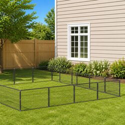 Friendly 60m² Outdoor Dog Kennel with Great Features