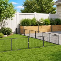 Create a Safe Outdoor Space for Your Dog