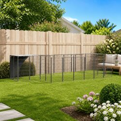 Your Dog's New Outdoor Kennel for Safe Playtime