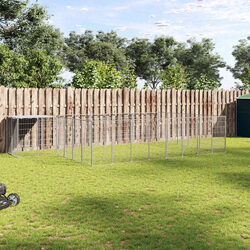 Your Pet's New Favorite Outdoor Space Awaits!