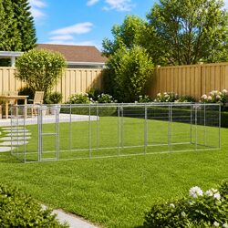 Friendly Outdoor Dog Kennel for Your Furry Friend