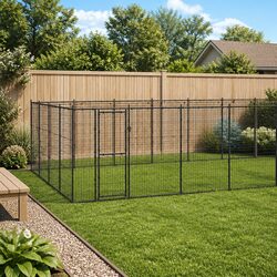 Your Dog Will Love This Spacious Outdoor Kennel