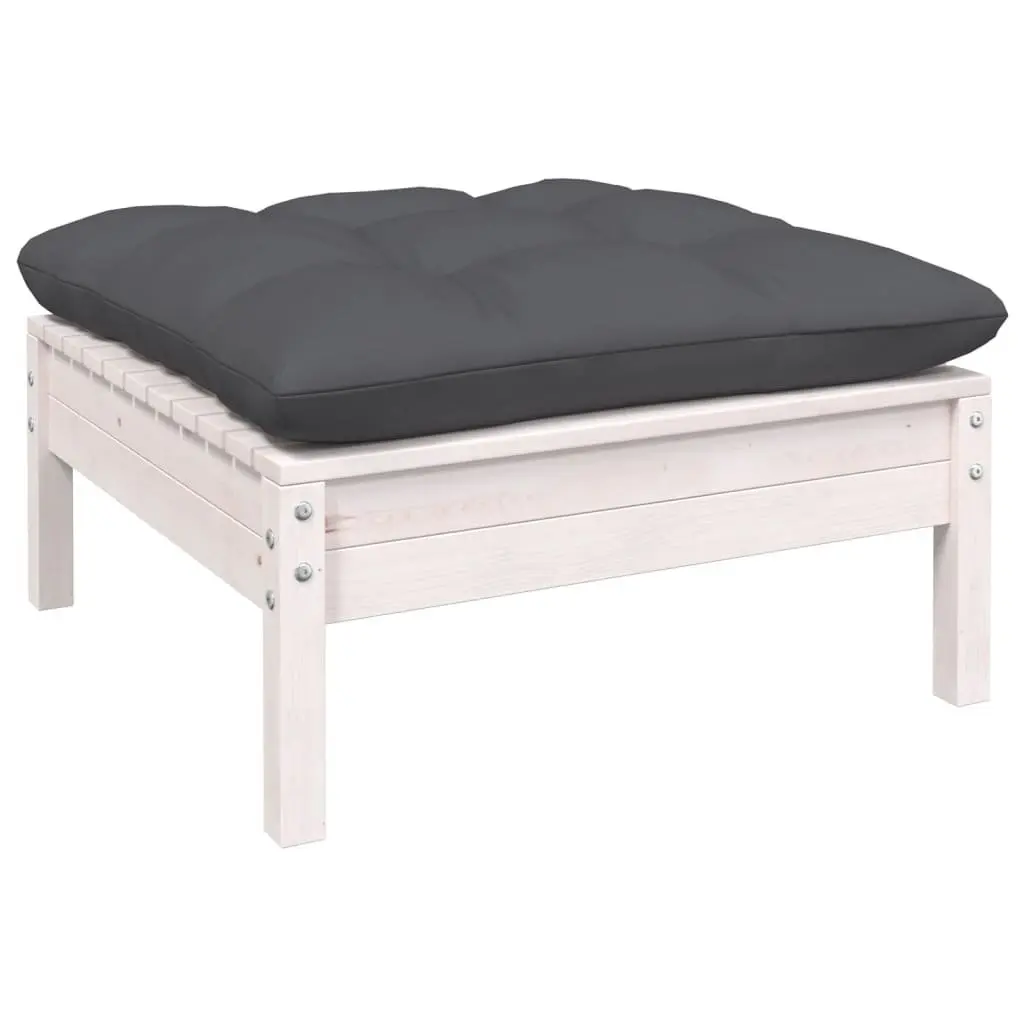 6 Piece Garden Lounge Set
